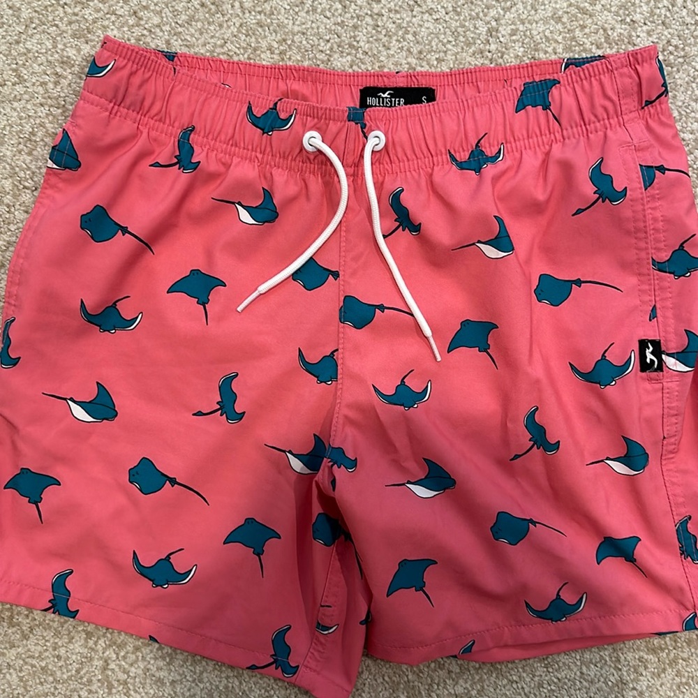 Men’s Hollister Swim Trunks